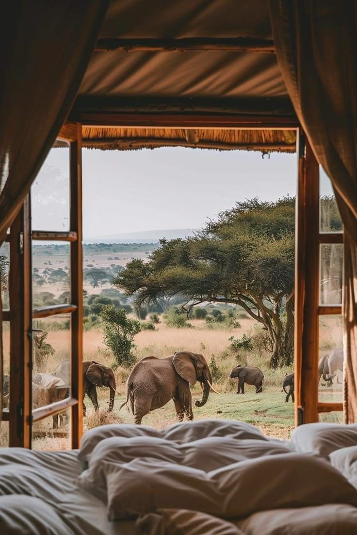 Safari Stopovers — Perfect stays before or after safari adventures, with comfort and convenience in mind.